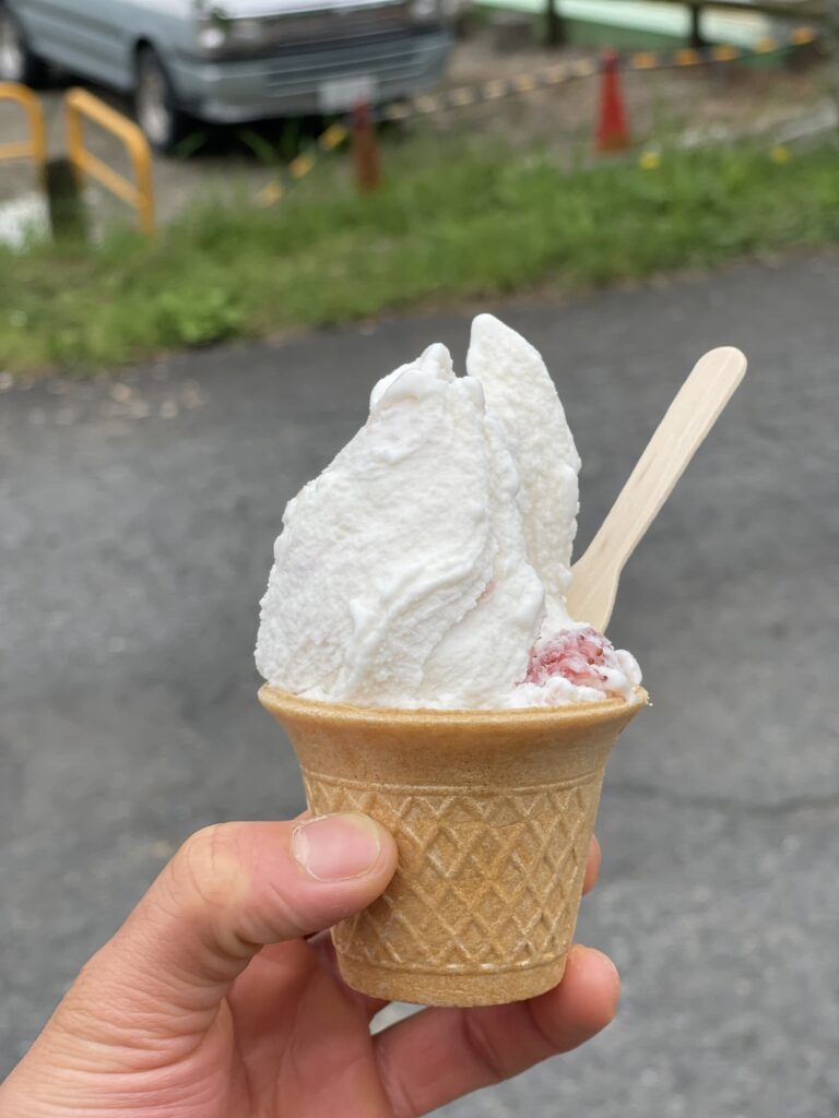 新鮮なミルクで作られた酪農家こだわりの手作りジェラート