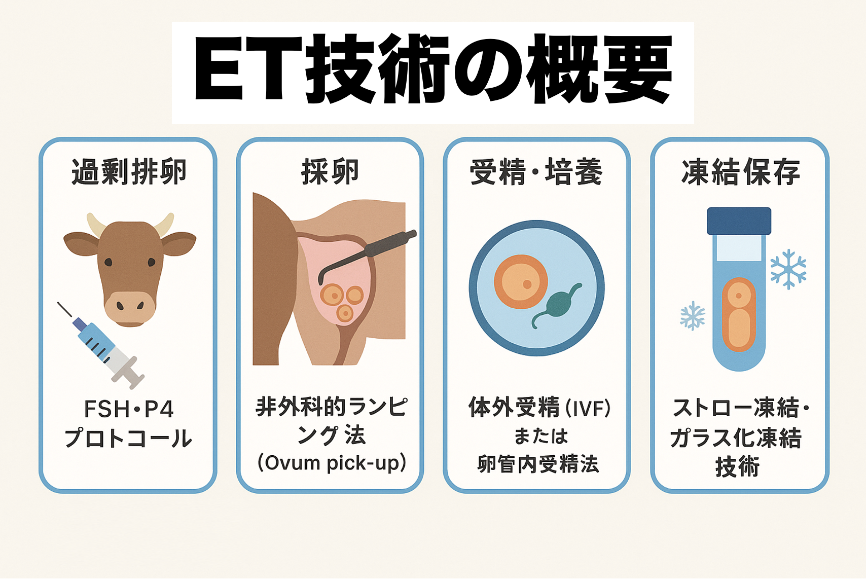フェーズ
主な技術・処理内容
過剰排卵
FSH・P4プロトコールで多数の卵胞誘導
採卵
非外科的ランジング法(Ovum pick-up)
受精・培養
体外受精(IVF)または卵管内受精法
凍結保存
ストロー凍結・ガラス化凍結技術
発情同期
PGF₂α+P₄プロトコールでレシピエント同期
移植
超音波ガイド下で子宮内腔に胚を定置