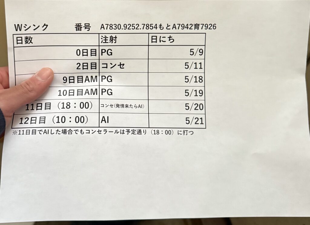 ダブルオブシンクの日程