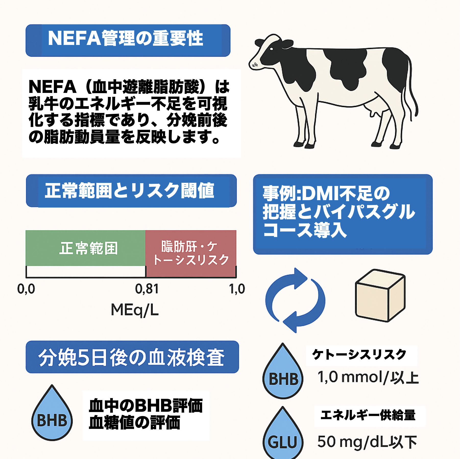 乳牛のNEFA管理ガイド|分娩後の代謝管理とDMI不足解消策を解説したイラスト。NEFAリスク値、バイパスグルコース導入、血糖値・BHB検査方法を視覚的に説明。