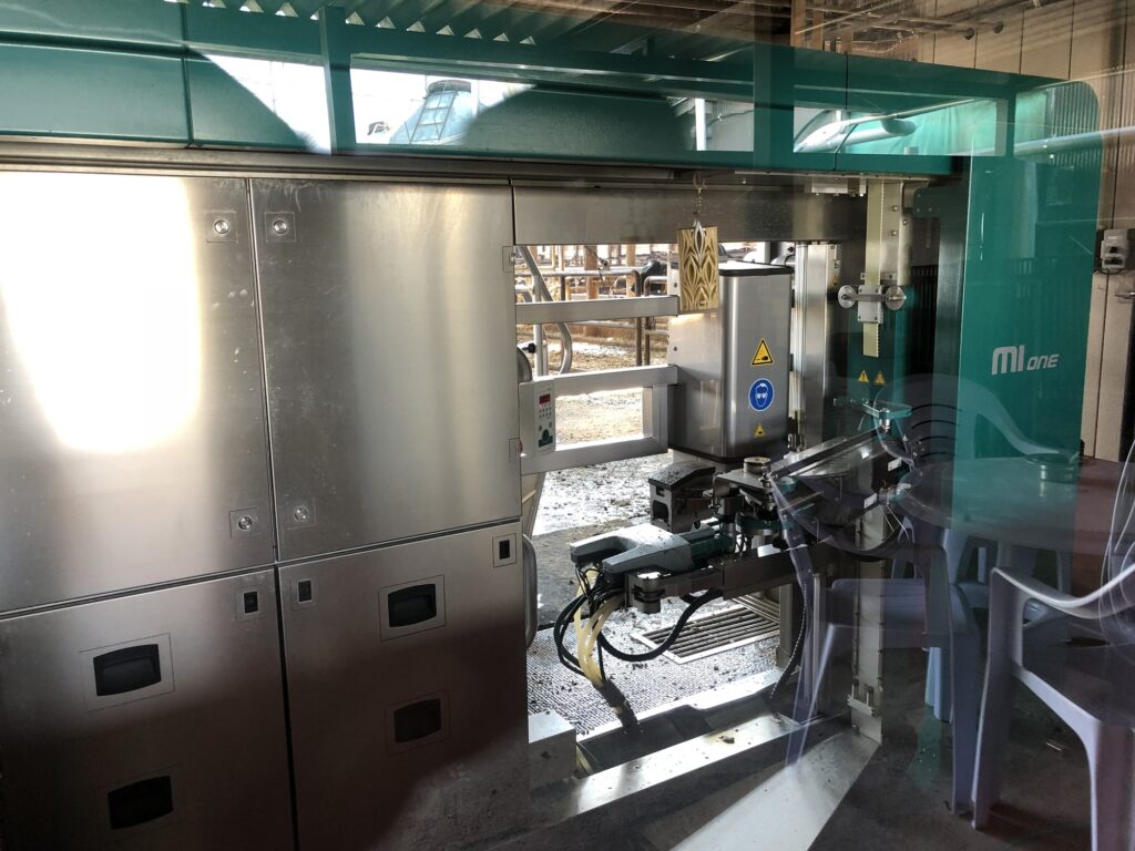 GEA MIone robotic milking system for large-scale dairy farms with multi-box setup