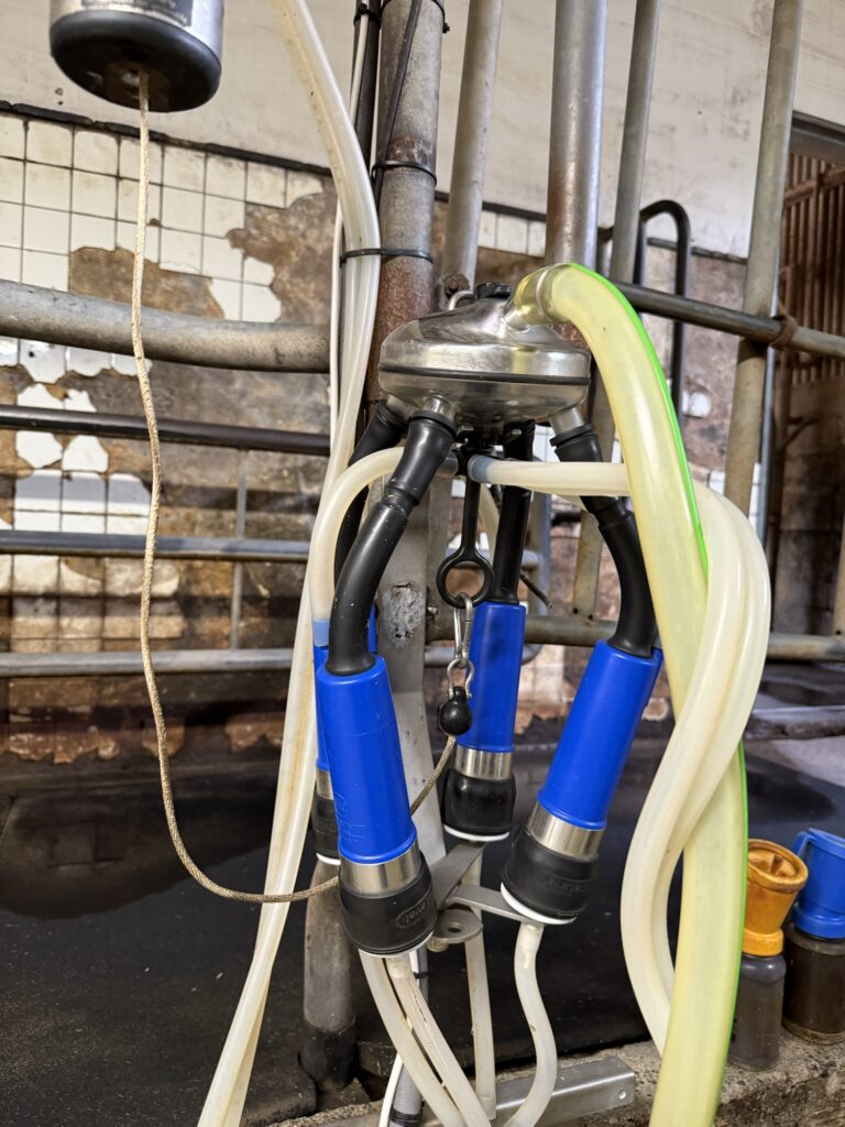 Milking machine (milker) for automated dairy cow milking