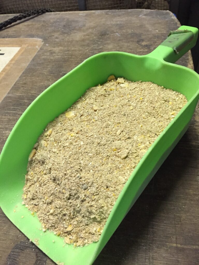Concentrate feed for beef cattle to improve weight gain and feed efficiency