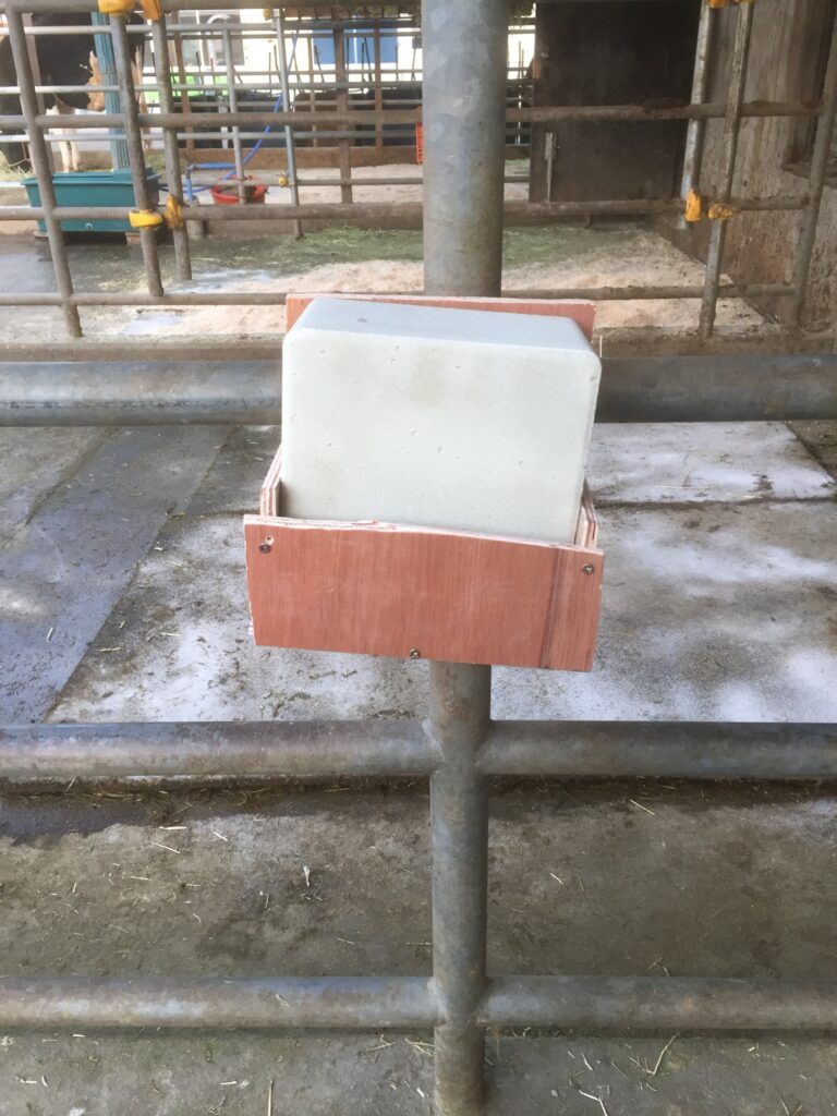 Mineral salt block for dairy cows to supplement essential nutrients and maintain health