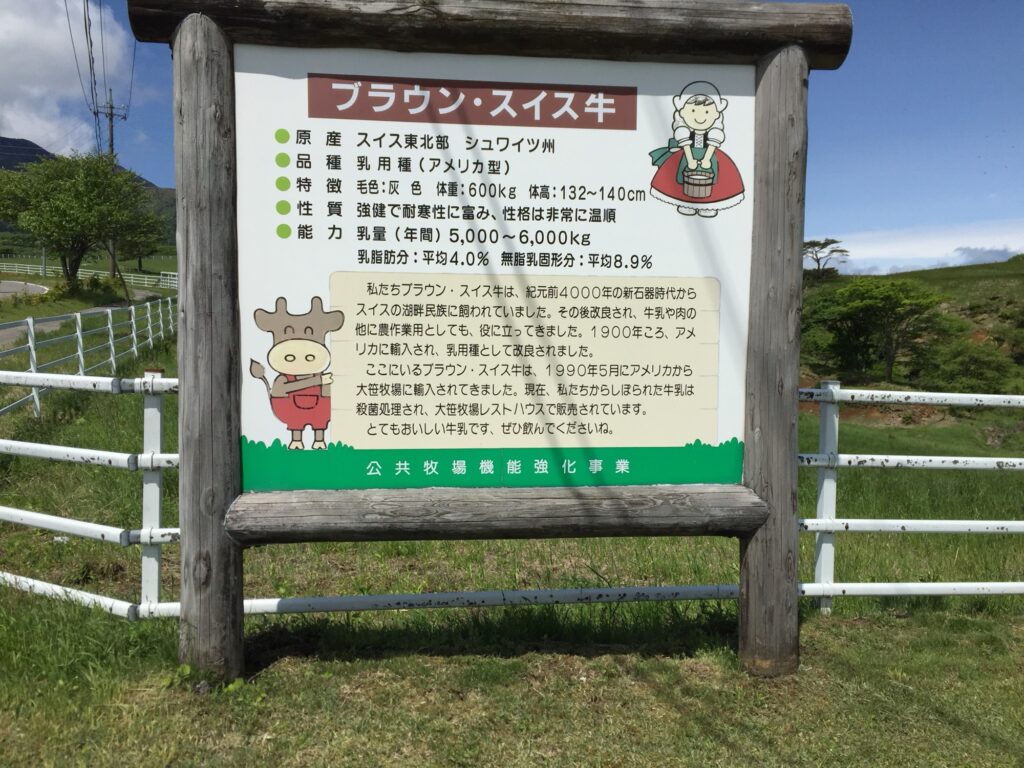 ブラウンスイス牛の特徴|高乳質・温厚なスイス乳牛の説明画像