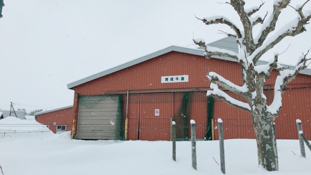 酪農学園大学の既存育成舎