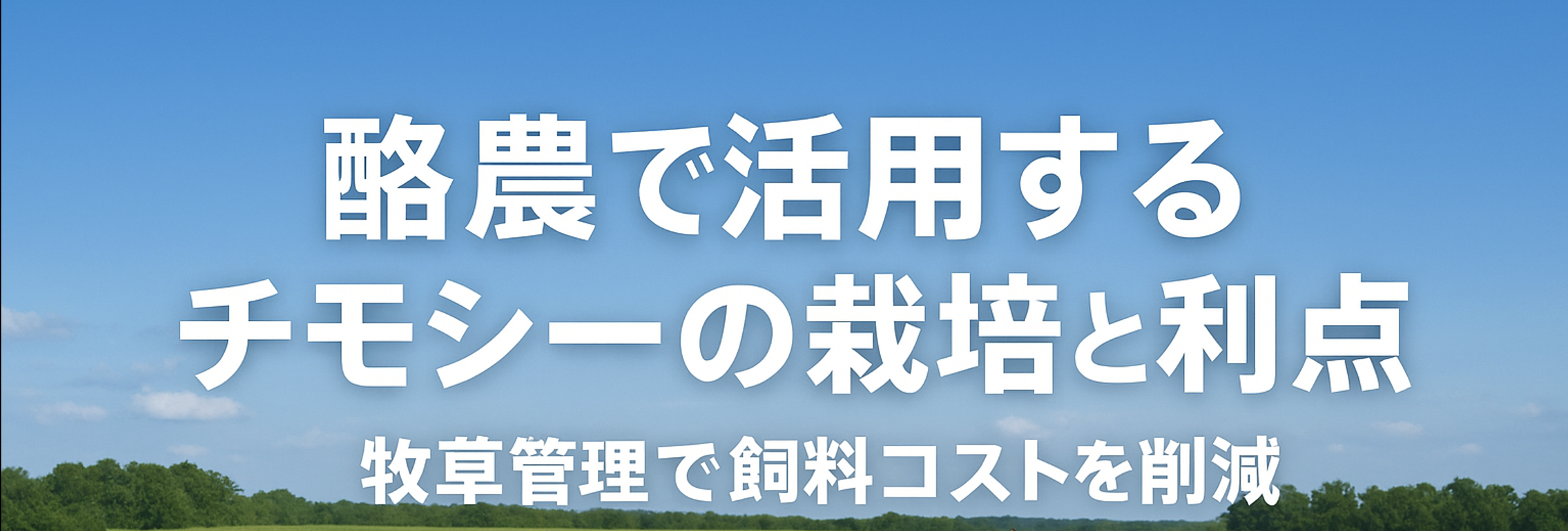 酪農用チモシーの畑と乾草作り｜チモシー栽培で飼料コスト削減