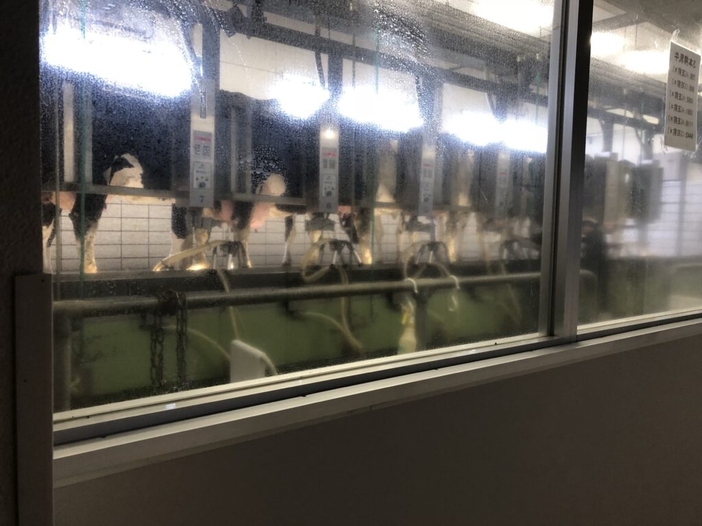酪農学園大学の先進的な搾乳システム