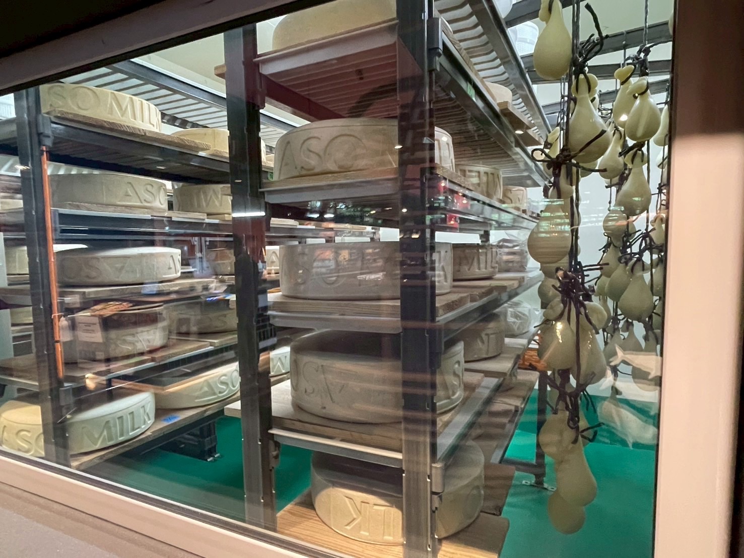 チーズの熟成過程