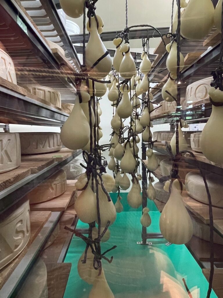 吊るして熟成中のカチョカヴァッロ チーズ