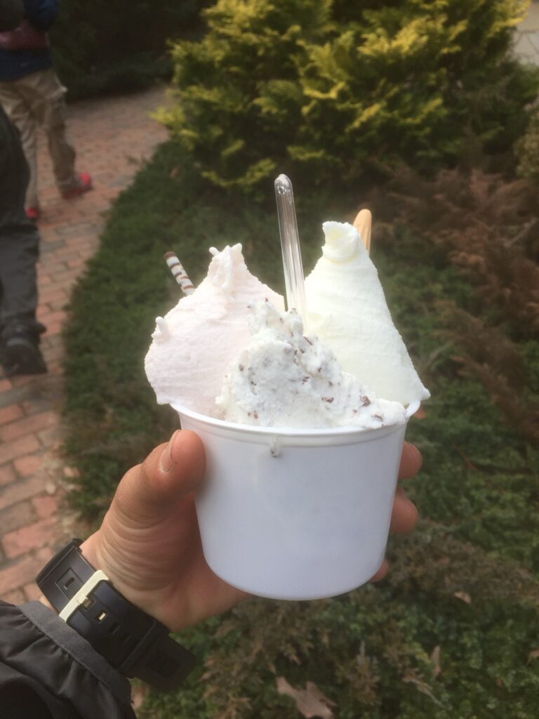 色とりどりのジェラートのアップ写真