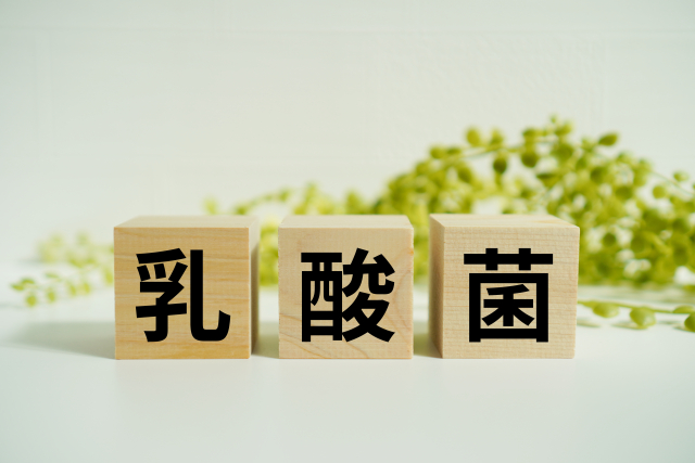 乳酸菌入りヨーグルトで腸内環境を整えるイメージ