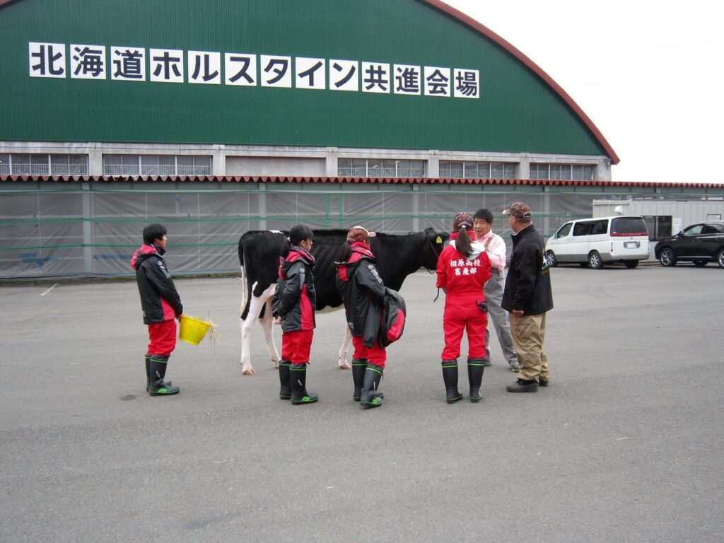 北海道安平町 第16回全日本ホルスタイン共進会 会場全景