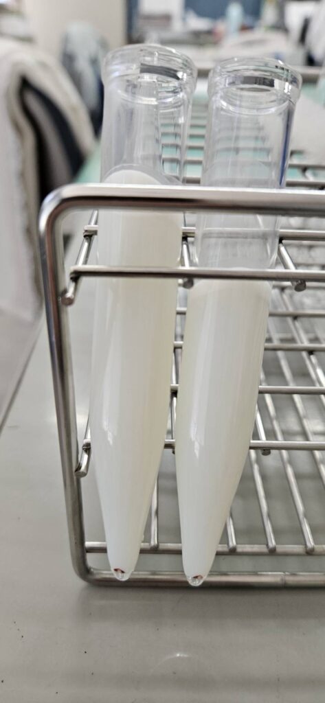 乳牛の血乳の原因と症状、予防と対策ガイド