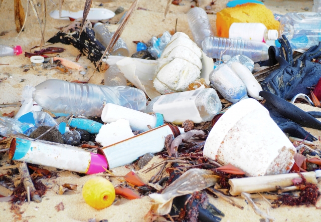 砂浜に打ち上げられたプラスチックごみ｜海洋プラスチック汚染の実態