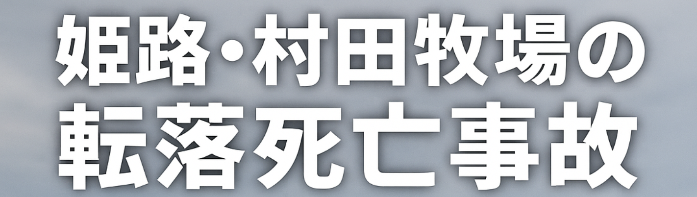 姫路・村田牧場 転落死亡事故（2025）｜屋根修理中の踏み抜きで転落する作業者と破損箇所を示すイラスト