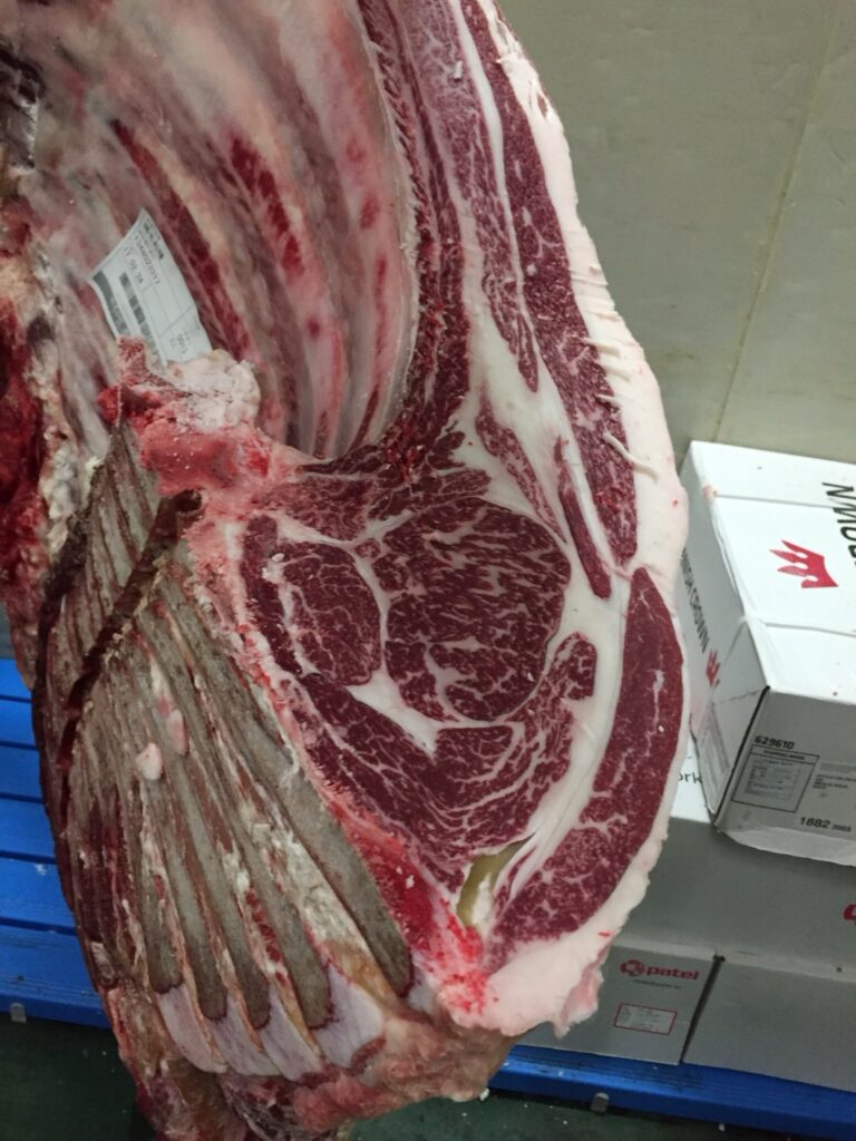 牛の枝肉の全体イメージ