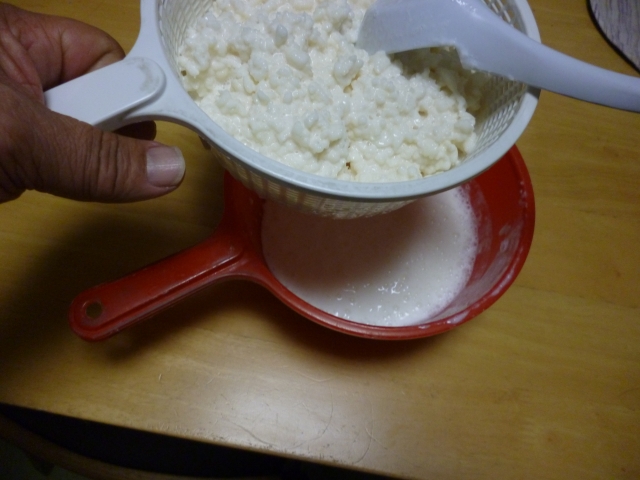  ケフィア｜乳酸菌と酵母が共生する発酵乳の健康ドリンク