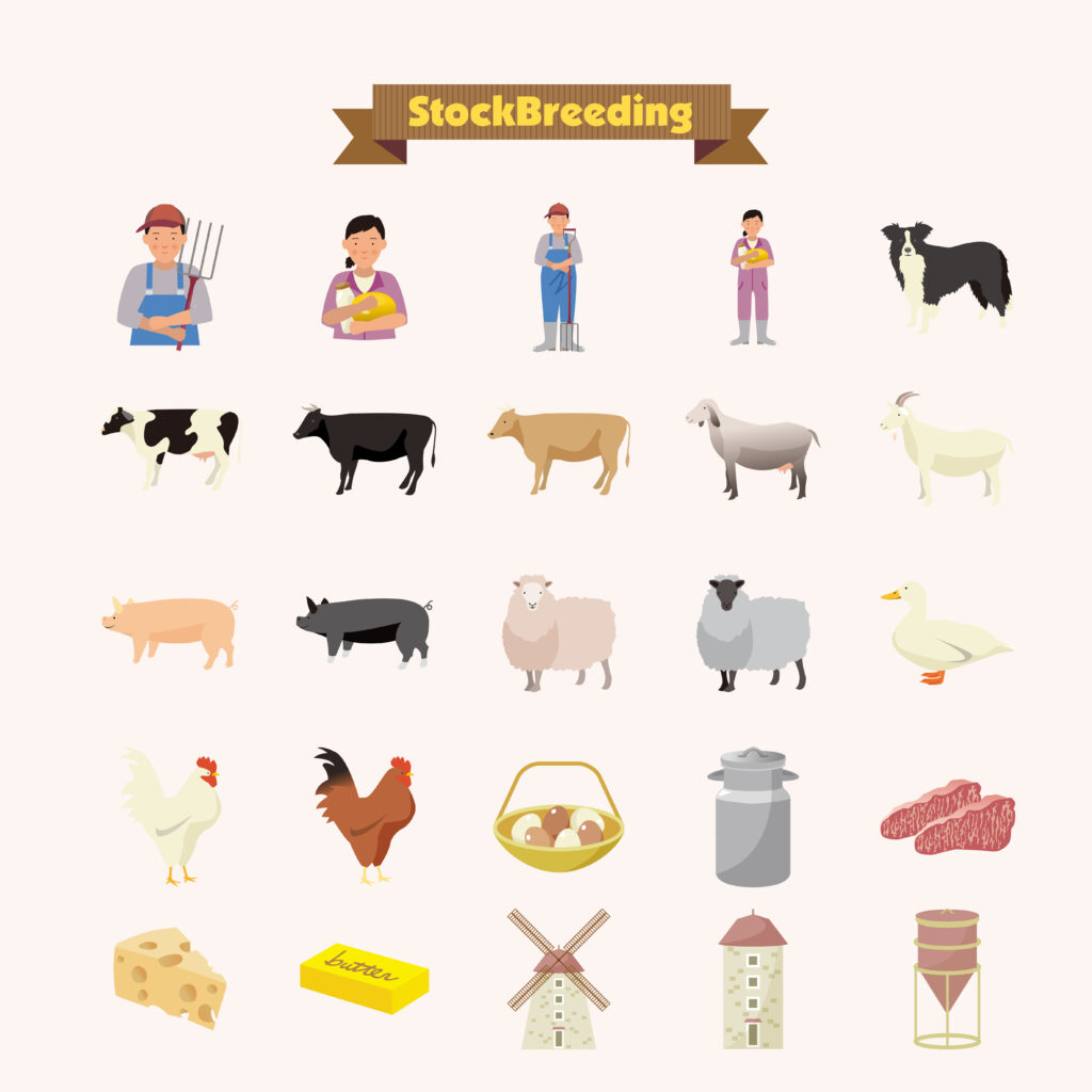 畜産のイラスト|牛・豚・鶏の飼育と牧場風景を描いたイメージ