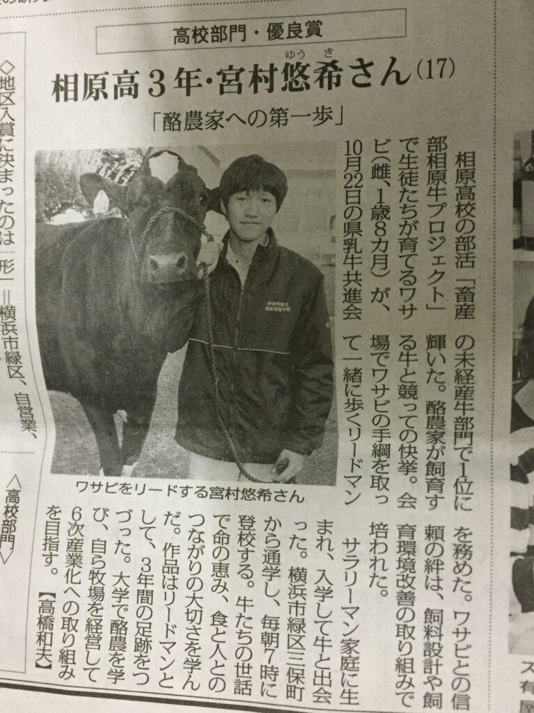 2017年高校生部門で優良賞を受賞した新聞記事の掲載