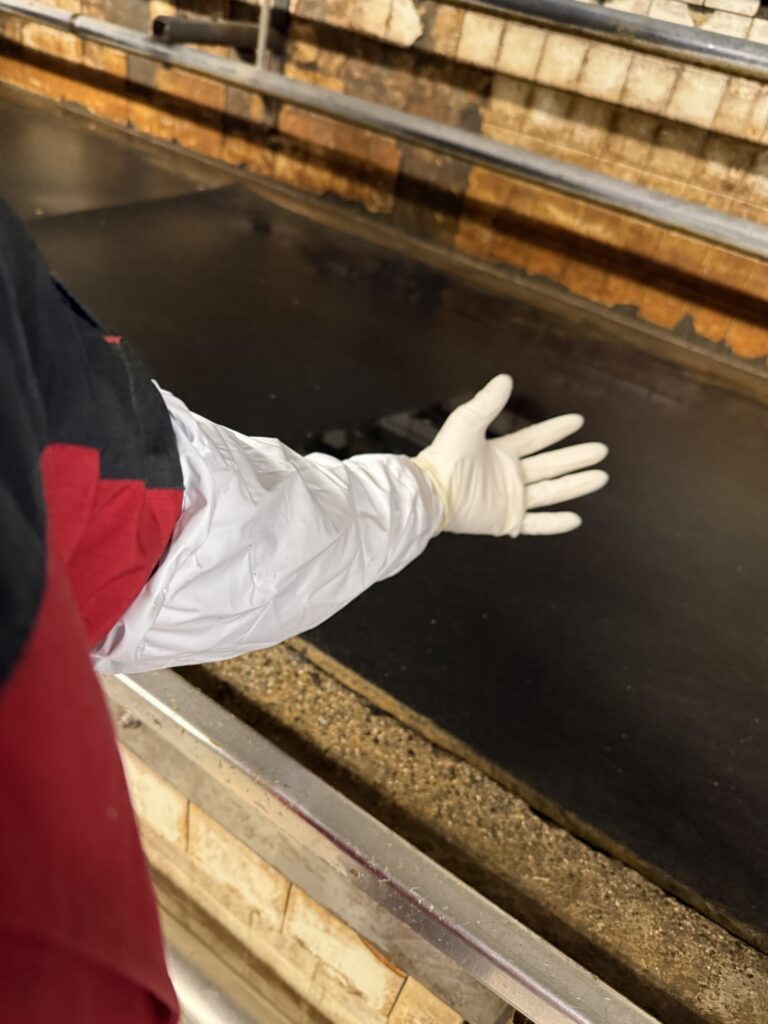 衛生作業用として3層目に薄手のゴム手袋を装着する様子の写真