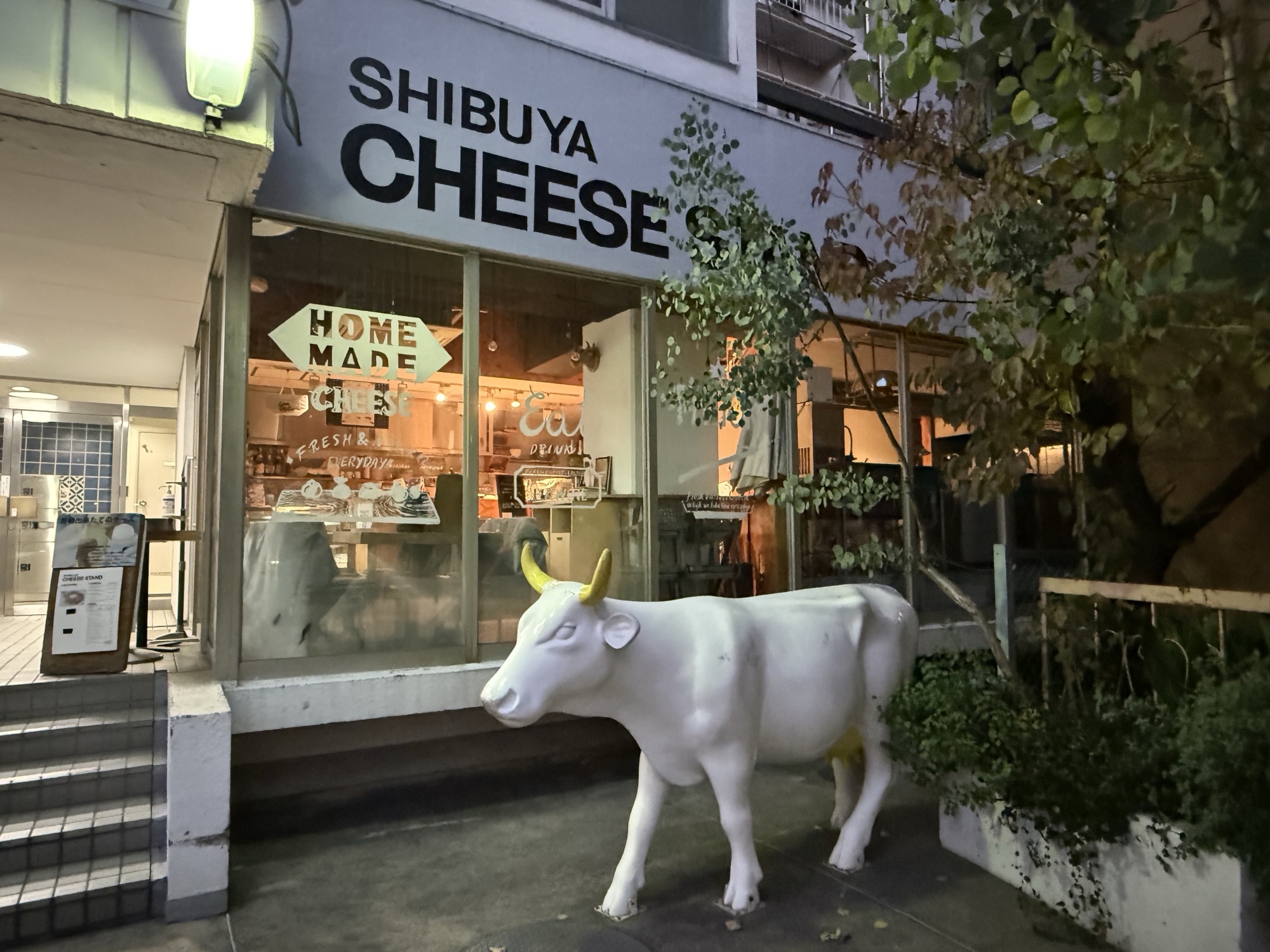 渋谷チーズスタンド