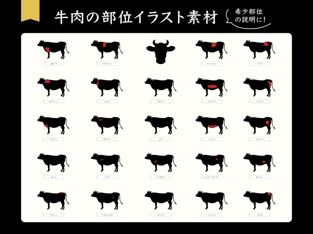 牛肉の希少部位 部位名と特徴を解説したイラスト
