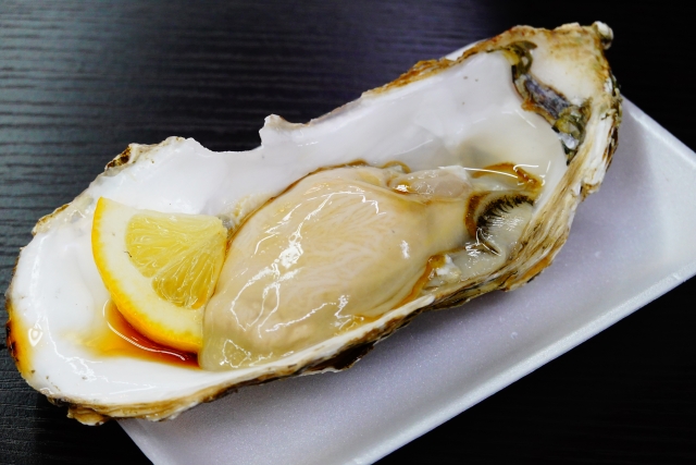 生牡蠣の盛り付け｜新鮮な牡蠣の見た目と食材イメージ