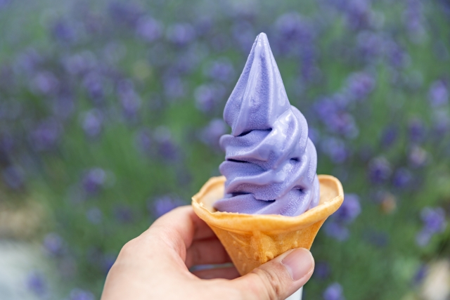 ラベンダー味のソフトクリーム｜北海道名物の香り豊かなご当地フレーバー