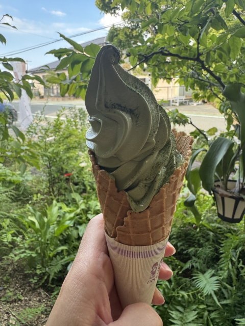 抹茶ソフトクリームの美しい渦巻き