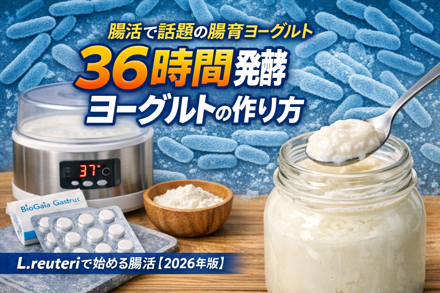 36時間発酵ヨーグルトの作り方を解説したL.reuteri腸活ヨーグルトのアイキャッチ画像