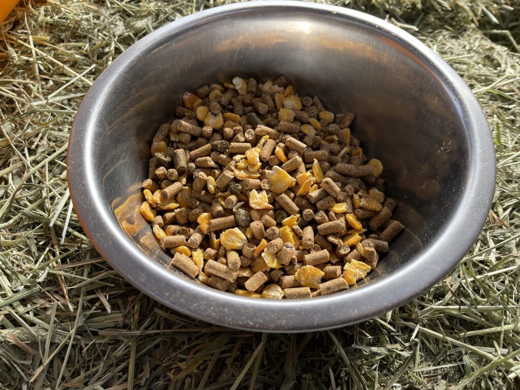 固形飼料 スターター 子牛用 餌 ペレット状飼料