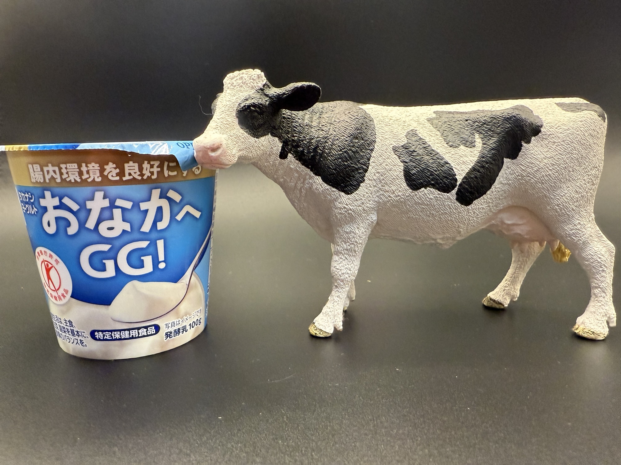 タカナシ おなかへGG ヨーグルト LGG乳酸菌の効果と口コミ解説