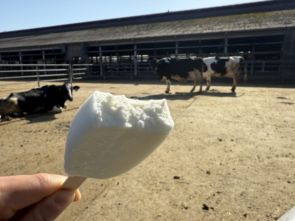 明治ブルガリアフローズンヨーグルトデザート 断面 背景に牛