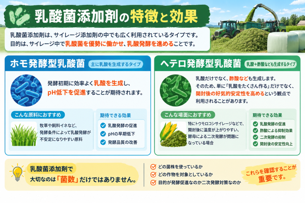 乳酸菌添加剤の特徴と効果を解説｜ホモ発酵型とヘテロ発酵型の違い